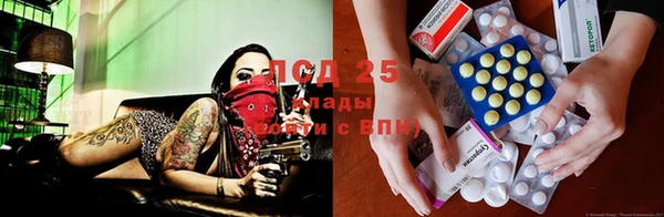 дурь Гусев