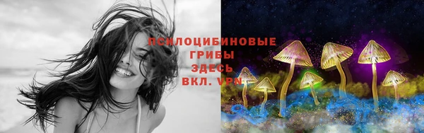 Альфа ПВП Алексин