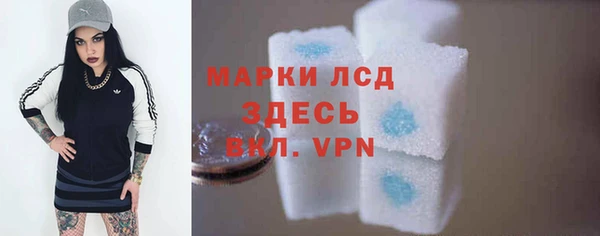 сатива Гусиноозёрск