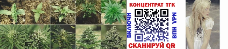 ТГК гашишное масло  купить наркотик  blacksprut зеркало  Сатка 